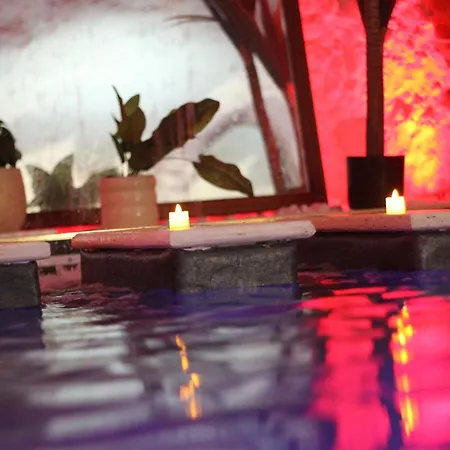 L Alcove Des Sens Jacuzzi Sauna 別荘 トゥール