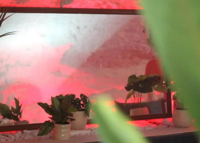 L Alcove Des Sens Jacuzzi Sauna * Tours